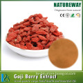 100% natural goji extract powder Chinese goji powder